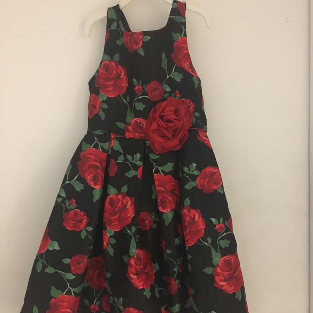 Sweet Heart Rose Girls Dress Size 8